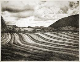 Amy Silberkleit, Hayfield, High Valley, lithograph, print