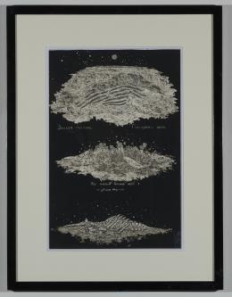 black and white print of stars and fossils
