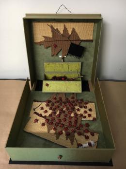 box full of ladybugs